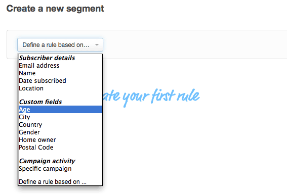 A list of custom fields to base a segment rule on