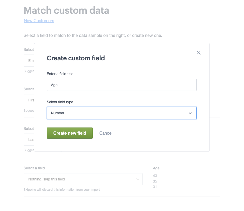 Adding a new numeric field during file import