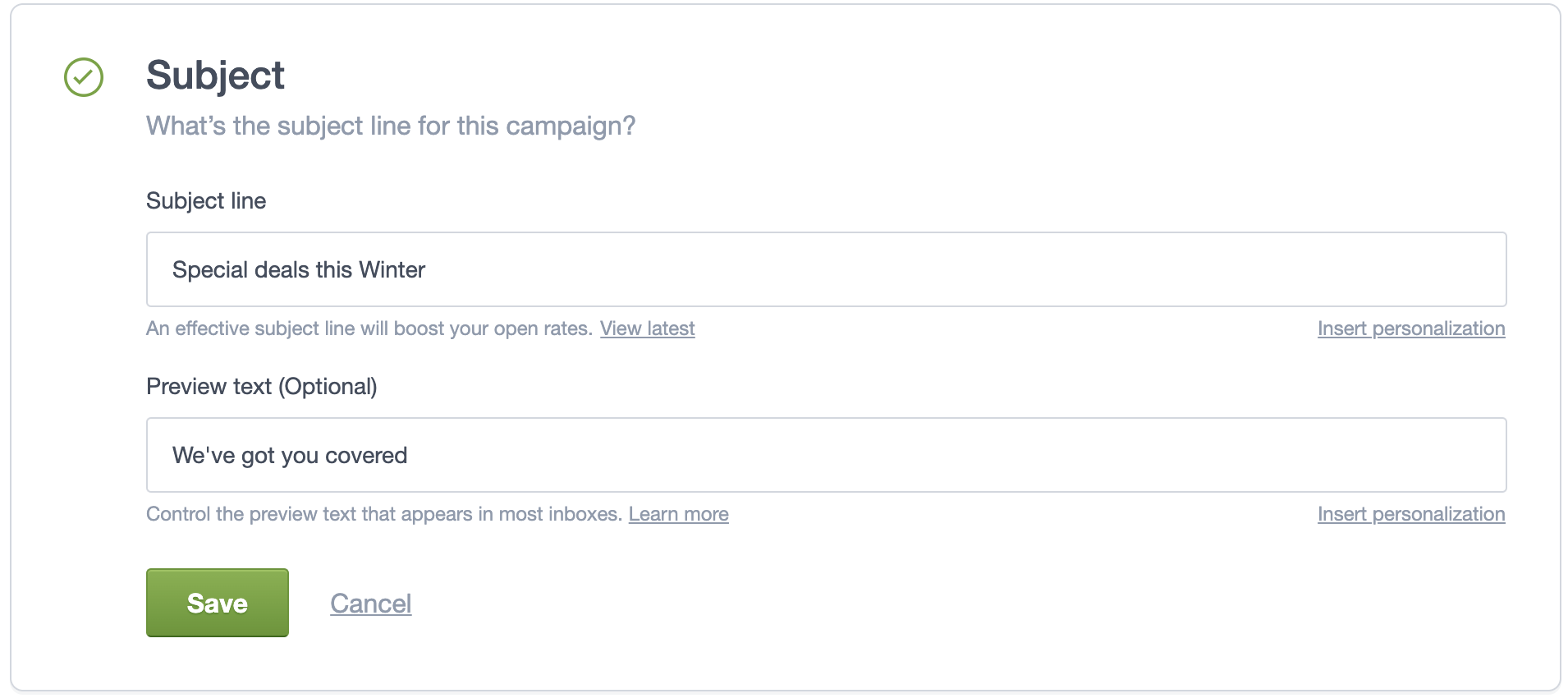 The preview text input field for campaigns